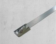 Stainless Rollerball Cable Ties - Plain
