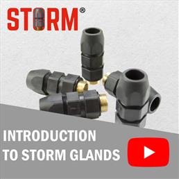 Storm Gland Introduction